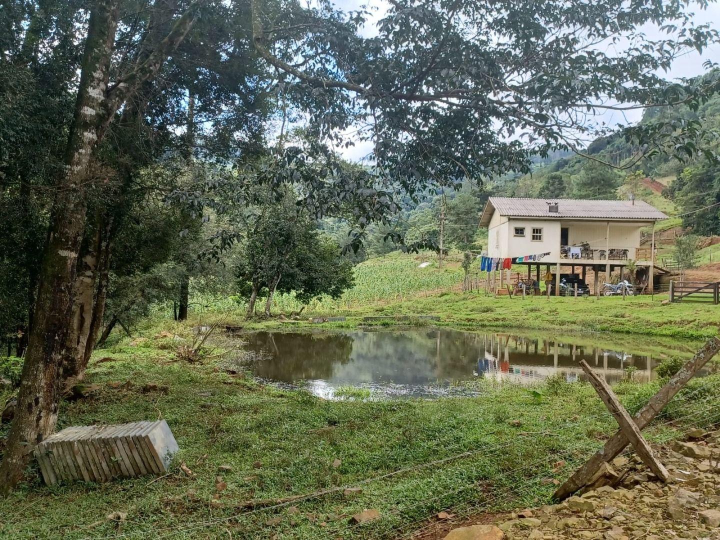 Loteamento e Condomínio à venda, 250000m² - Foto 2