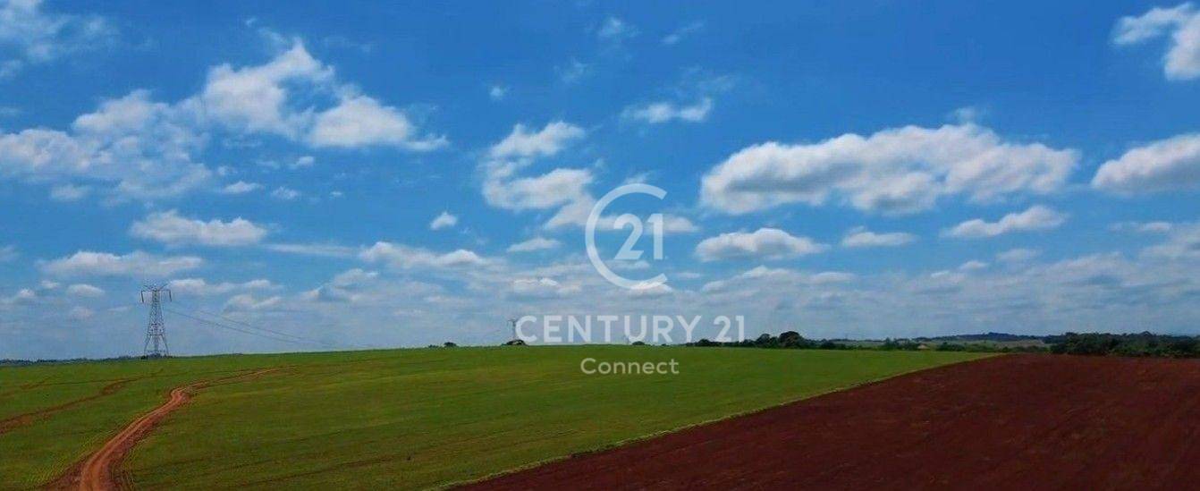 Fazenda-Sítio-Chácara, 237 hectares - Foto 4