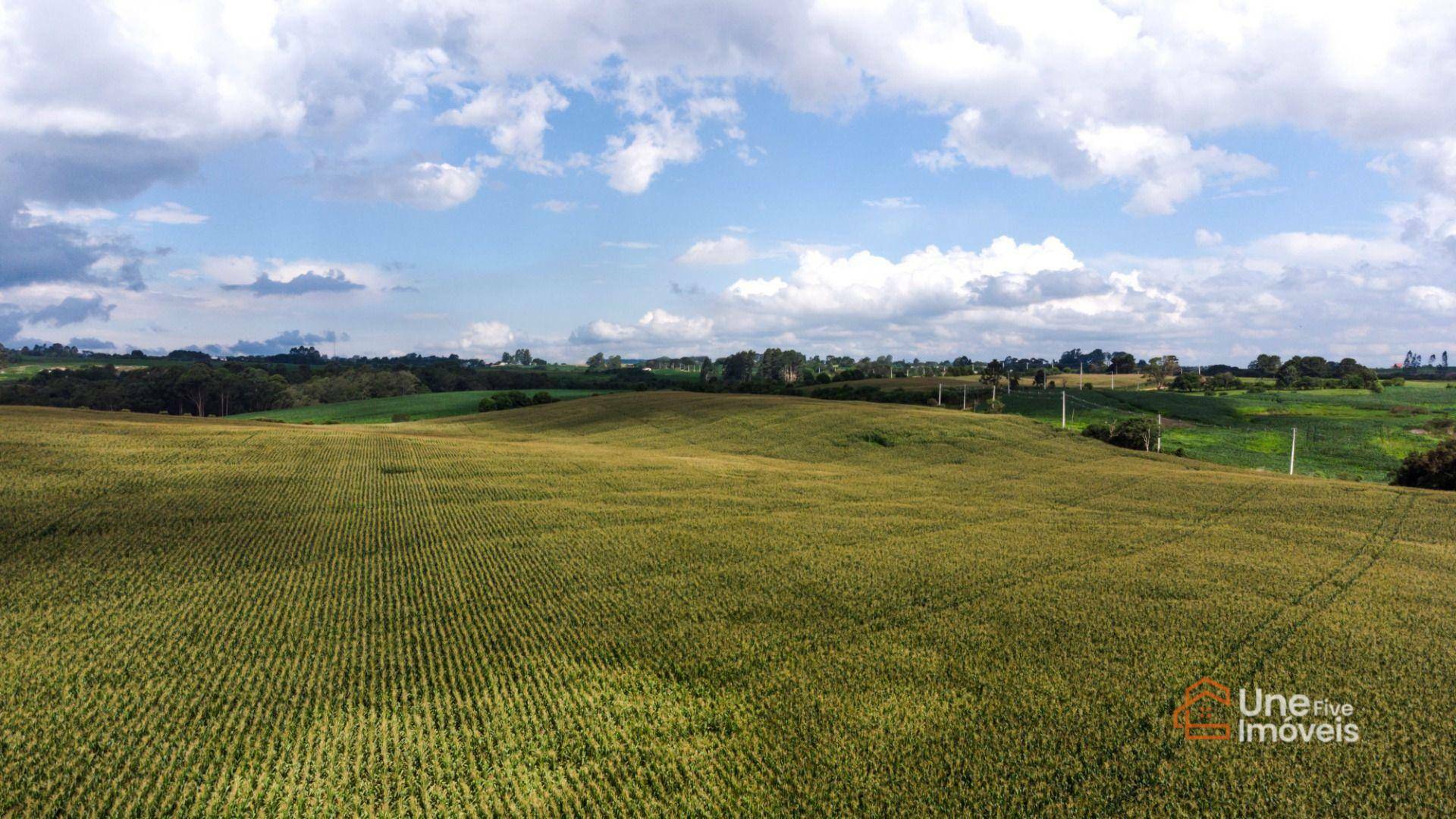 Terreno à venda, 552000M2 - Foto 5