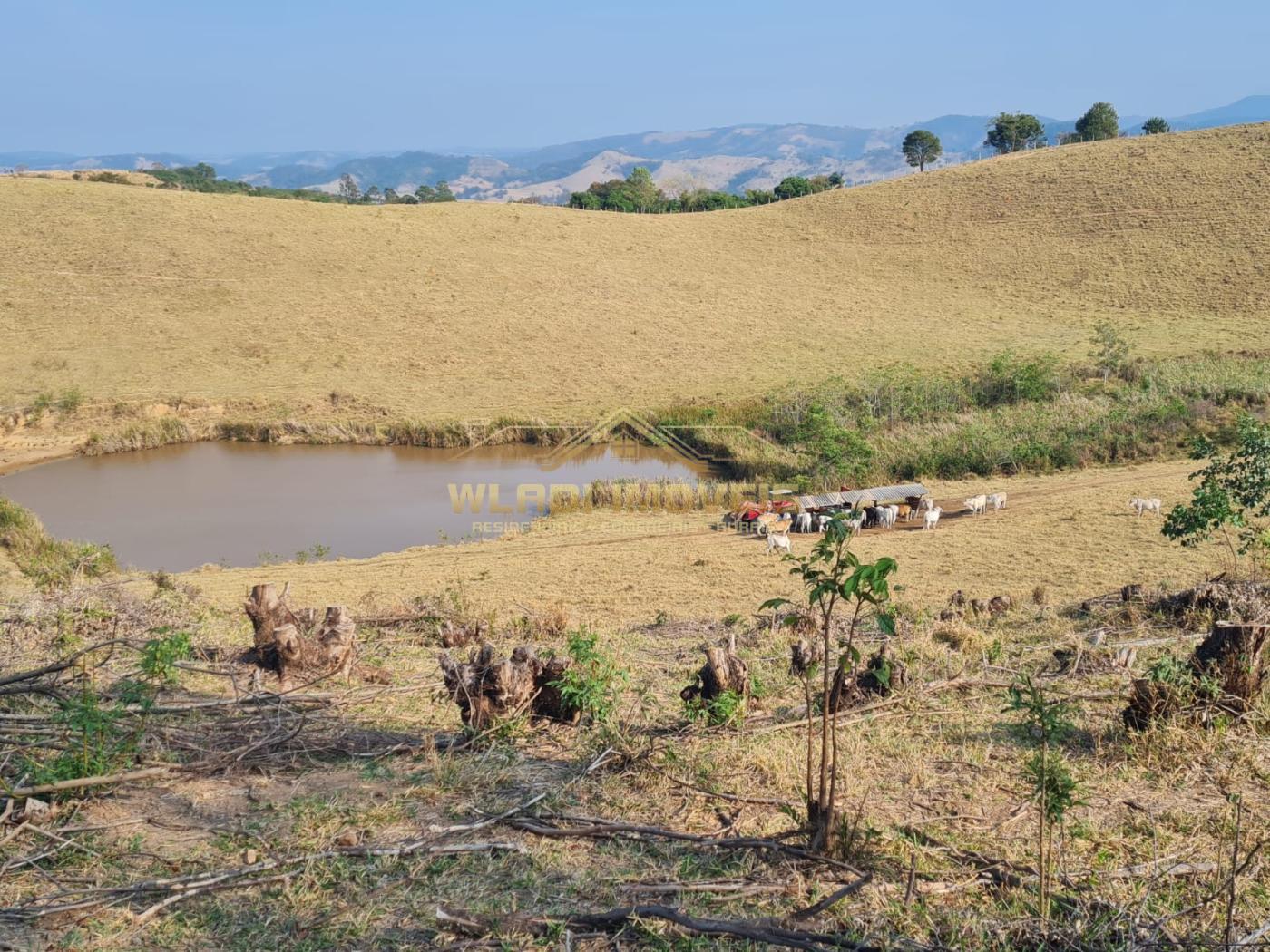 Fazenda à venda, 417m² - Foto 41