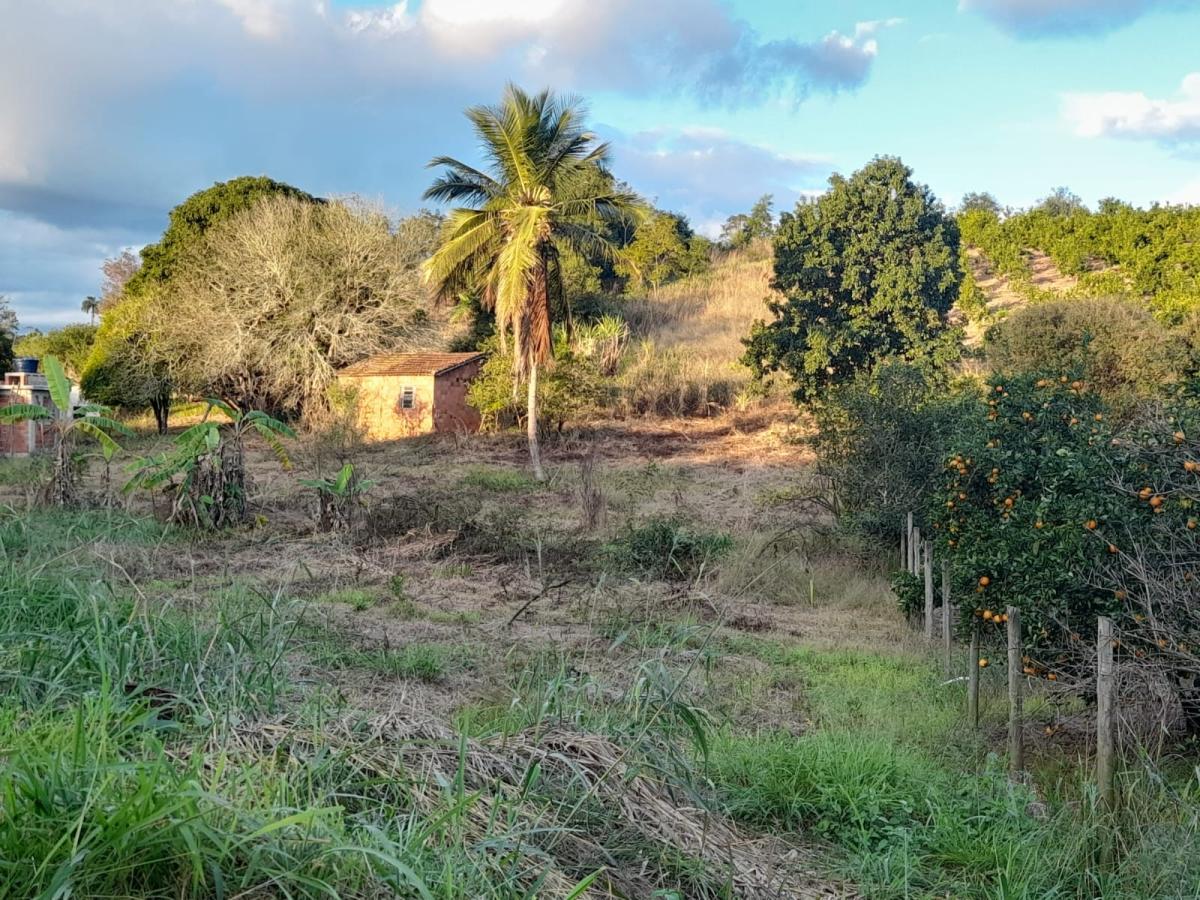 Terreno à venda, 5000m² - Foto 3