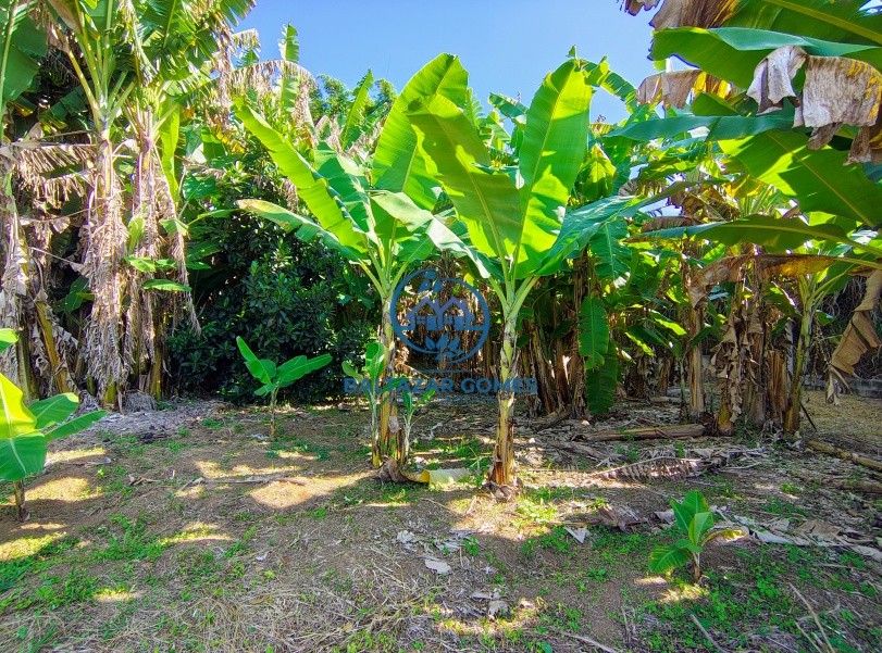 Chácara à venda com 7 quartos, 5000m² - Foto 29