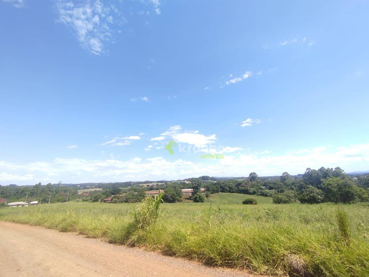 Chácara, 5000 m² - Foto 2