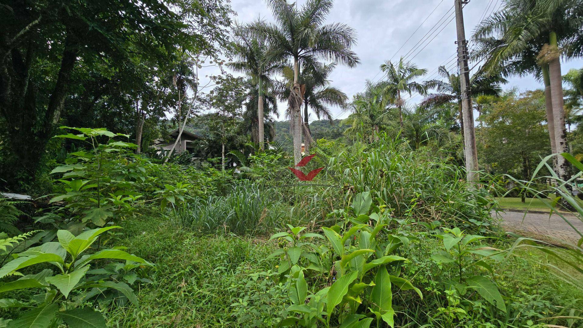 Loteamento e Condomínio à venda, 403M2 - Foto 5