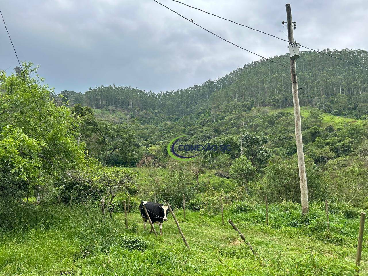 Sítio à venda com 2 quartos, 726000M2 - Foto 8