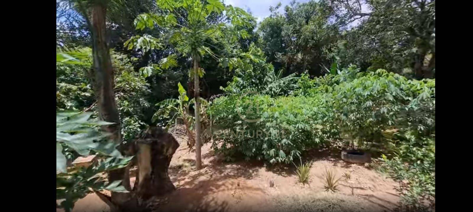 Casa à venda com 3 quartos, 170M2 - Foto 17