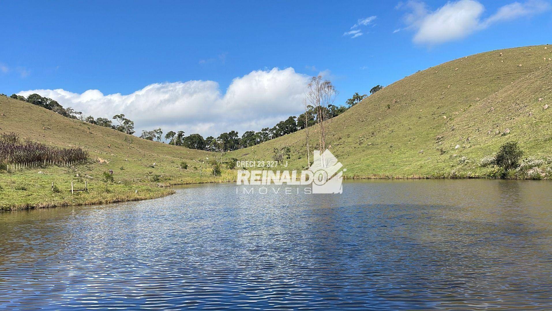 Fazenda à venda com 8 quartos, 900m² - Foto 40