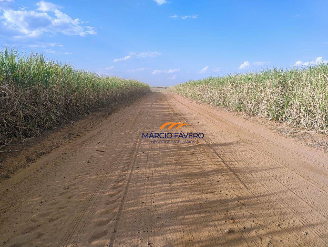 Fazenda, 692 hectares - Foto 5