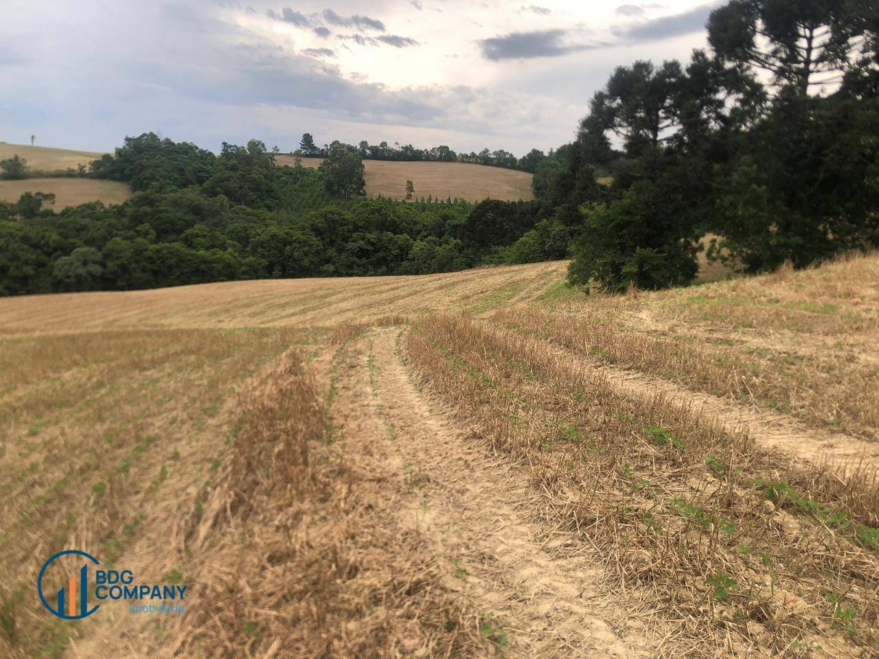 Sítio, 26 hectares - Foto 3