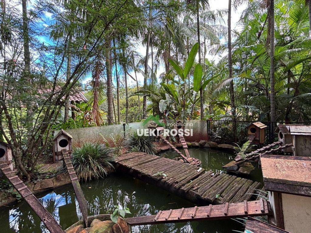 Chácara à venda com 3 quartos, 3000M2 - Foto 31