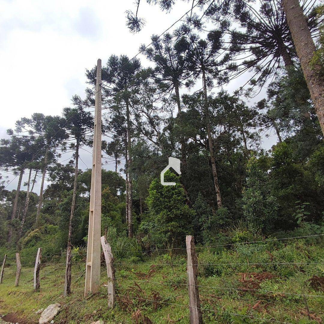 Terreno à venda, 36000M2 - Foto 9