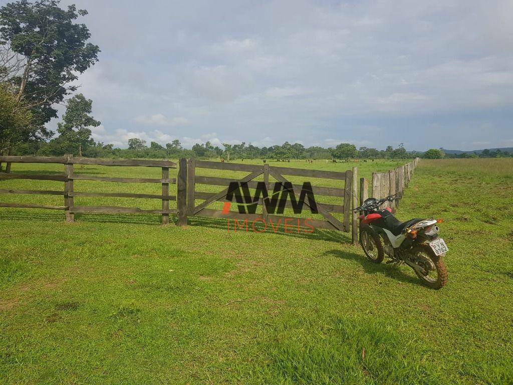 Fazenda à venda, 50336000M2 - Foto 47