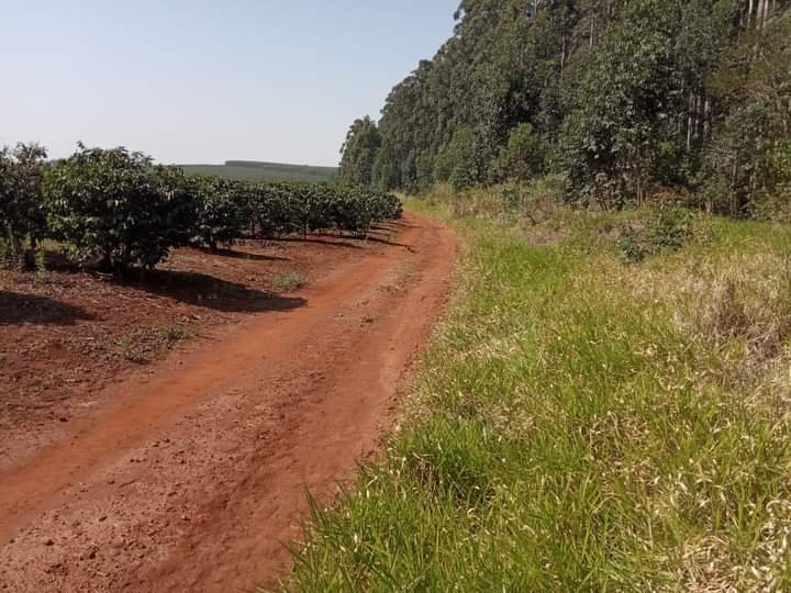 Fazenda à venda, 800m² - Foto 9