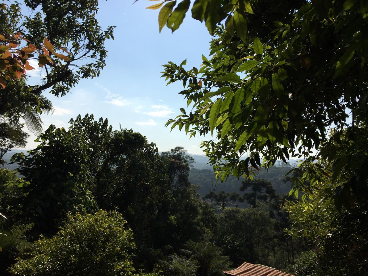 Fazenda à venda com 2 quartos, 1890m² - Foto 2