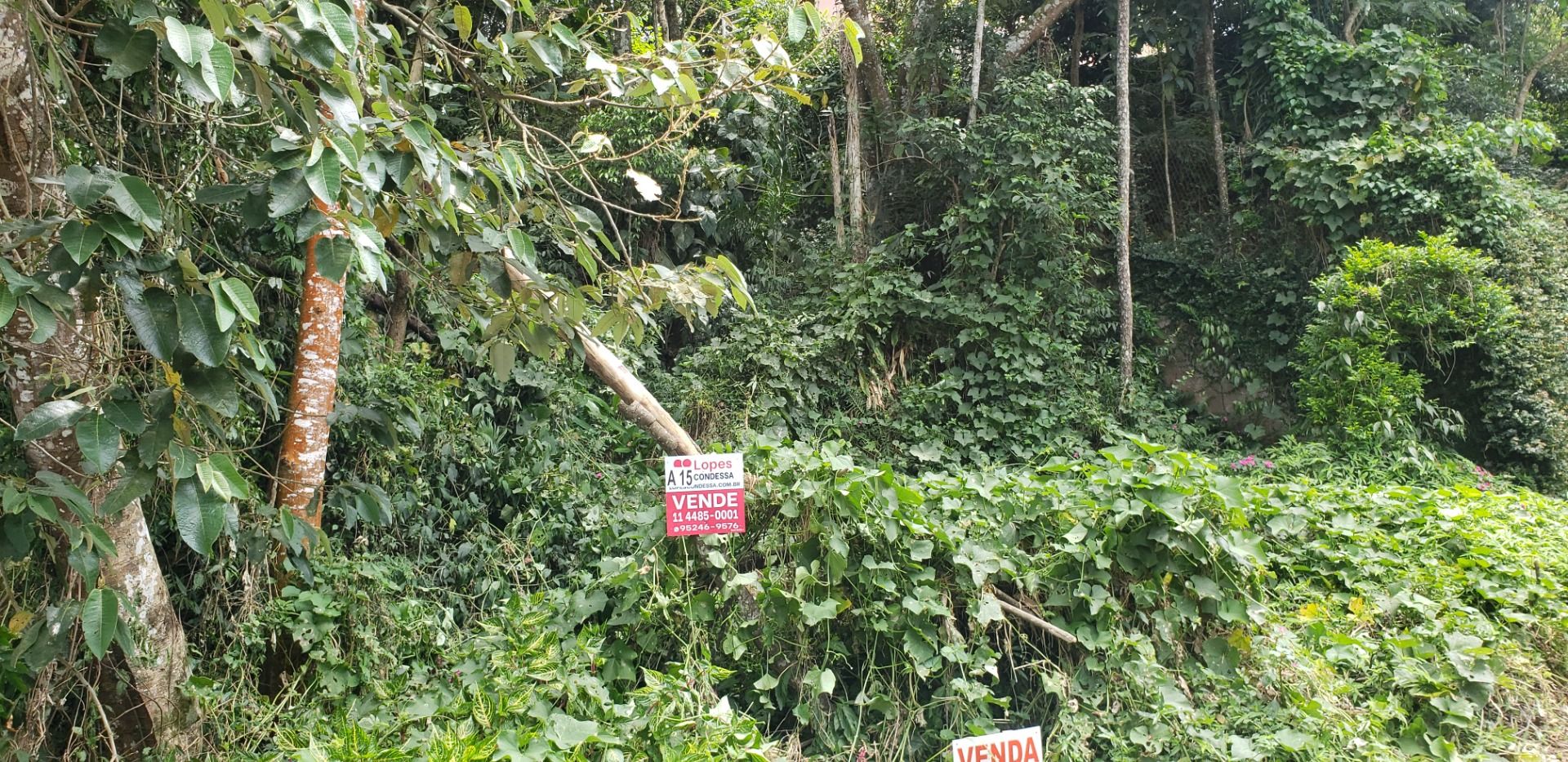 Loteamento e Condomínio à venda, 1020M2 - Foto 8