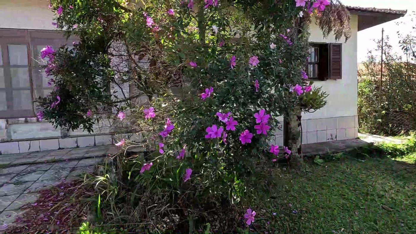 Chácara à venda com 3 quartos, 1000m² - Foto 2