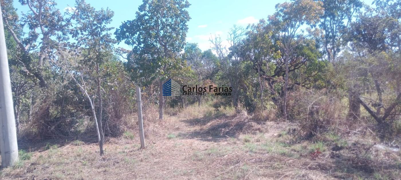Chácara à venda, 20000m² - Foto 12