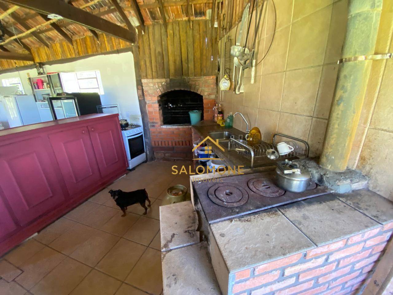 Sítio, 3 quartos, 6 hectares - Foto 5