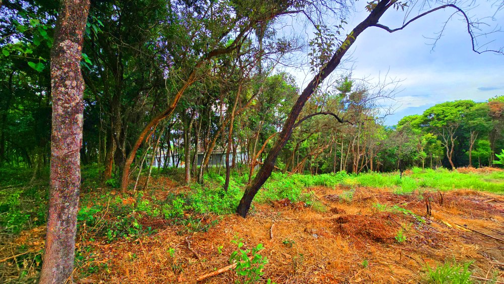 Terreno à venda, 2855m² - Foto 18