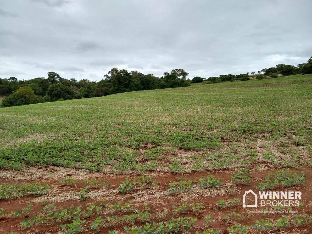 Chácara à venda com 1 quarto, 42730M2 - Foto 5