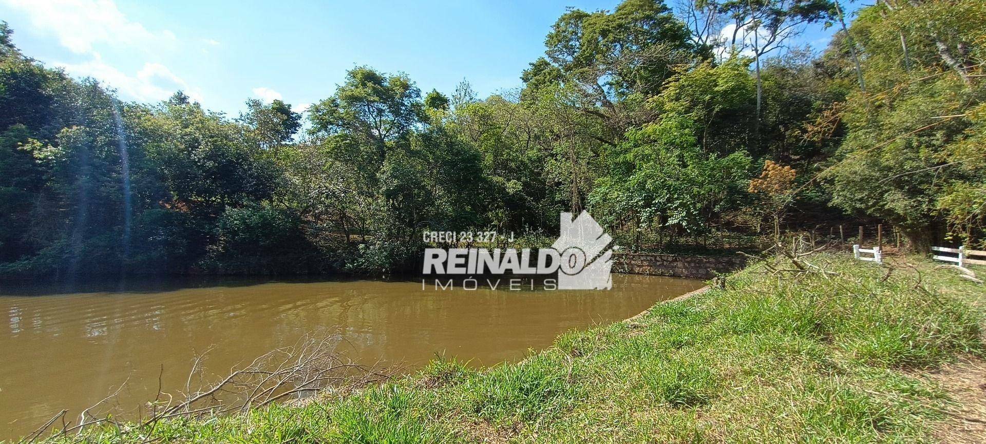 Haras e Área Rural Padrão à venda com 16 quartos, 2500m² - Foto 191