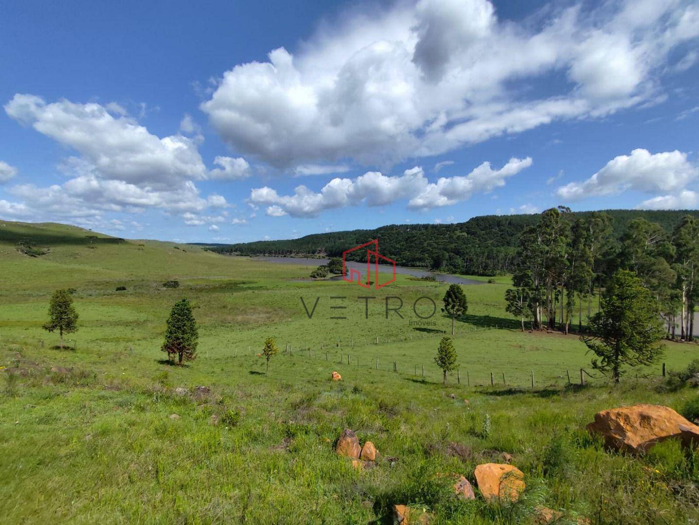 Sítio, 2 hectares - Foto 3