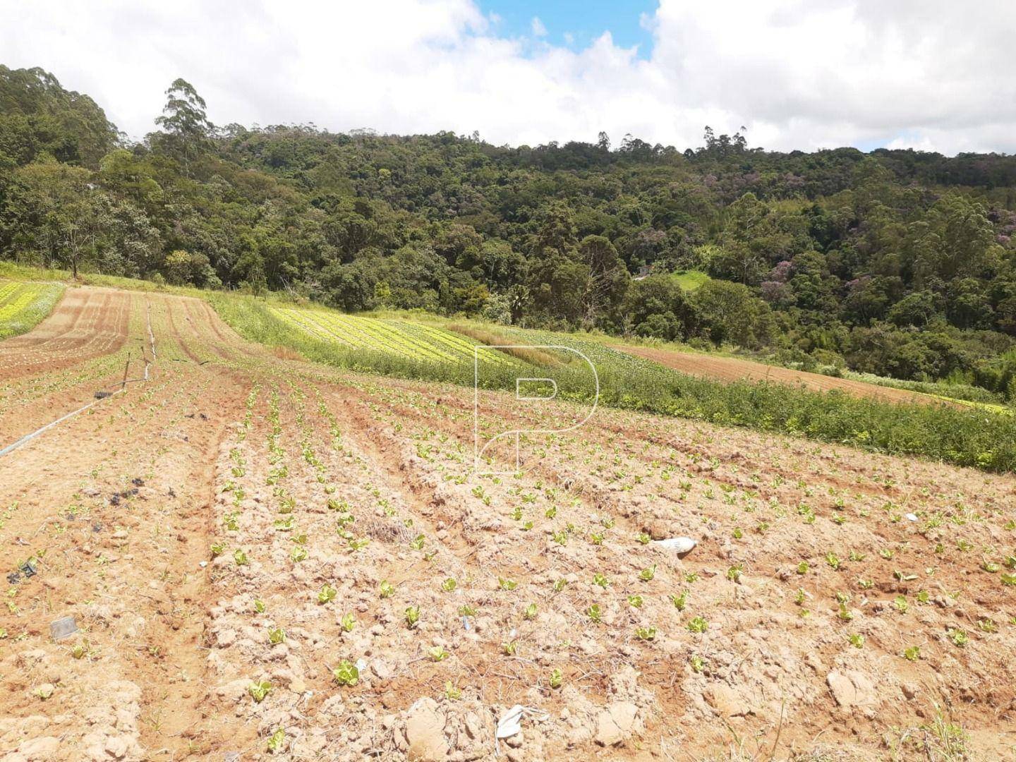 Terreno à venda, 39000M2 - Foto 14