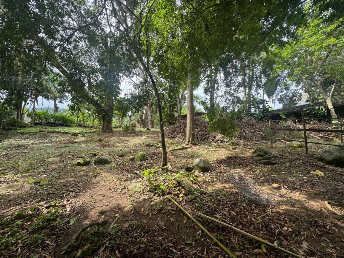 Fazenda-Sítio-Chácara, 1 hectares - Foto 1