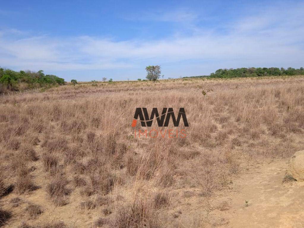 Fazenda-Sítio-Chácara, 765 hectares - Foto 4