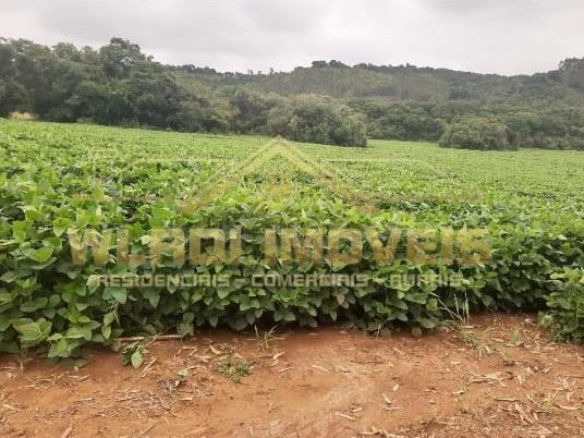 Fazenda à venda, 319m² - Foto 4