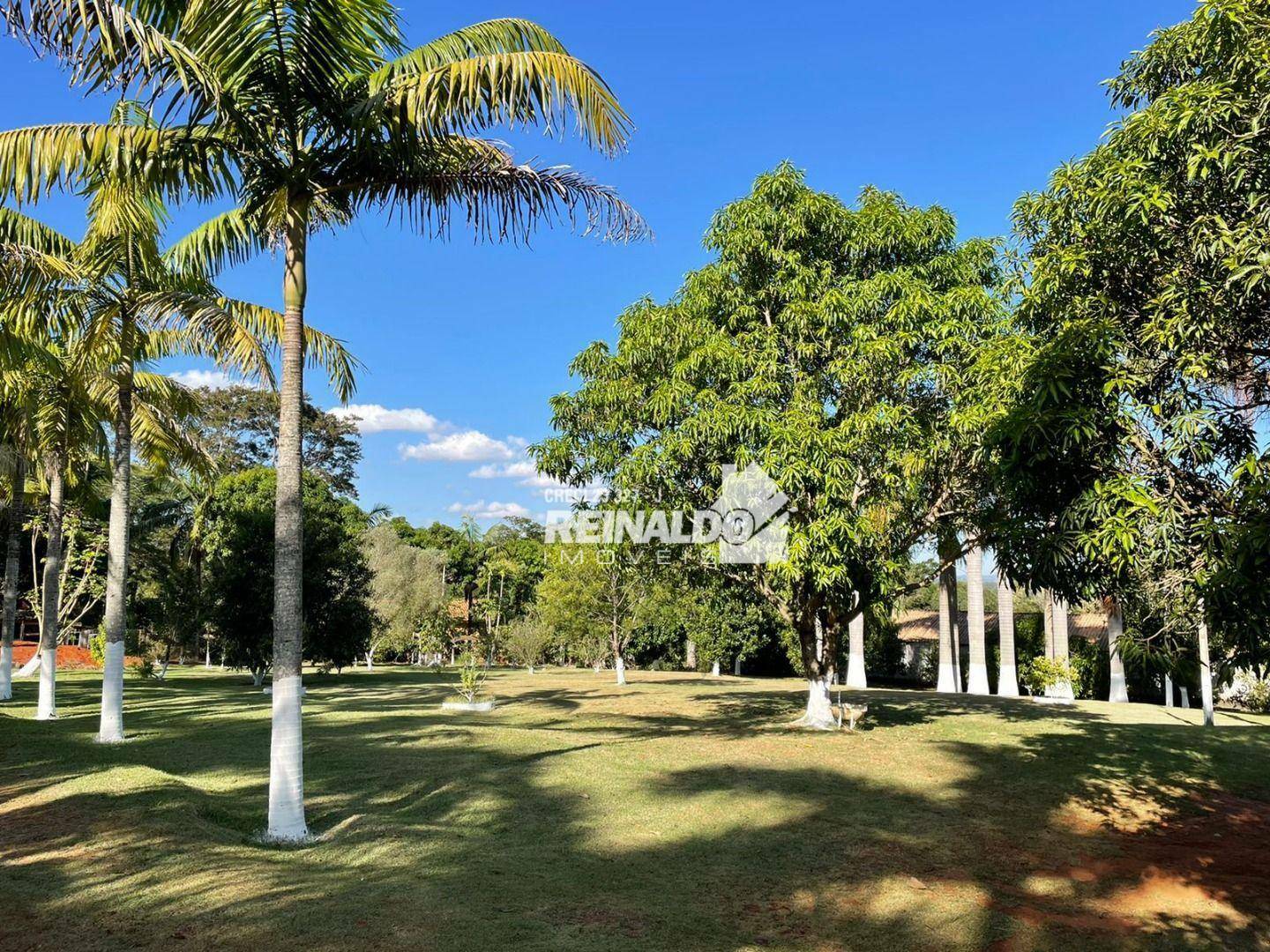 Sítio à venda com 2 quartos, 800m² - Foto 5