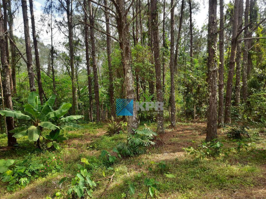 Loteamento e Condomínio, 5000 m² - Foto 5