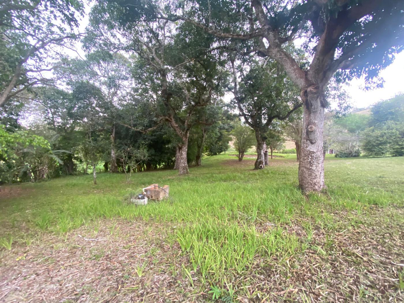 Sítio à venda com 5 quartos, 170000m² - Foto 36