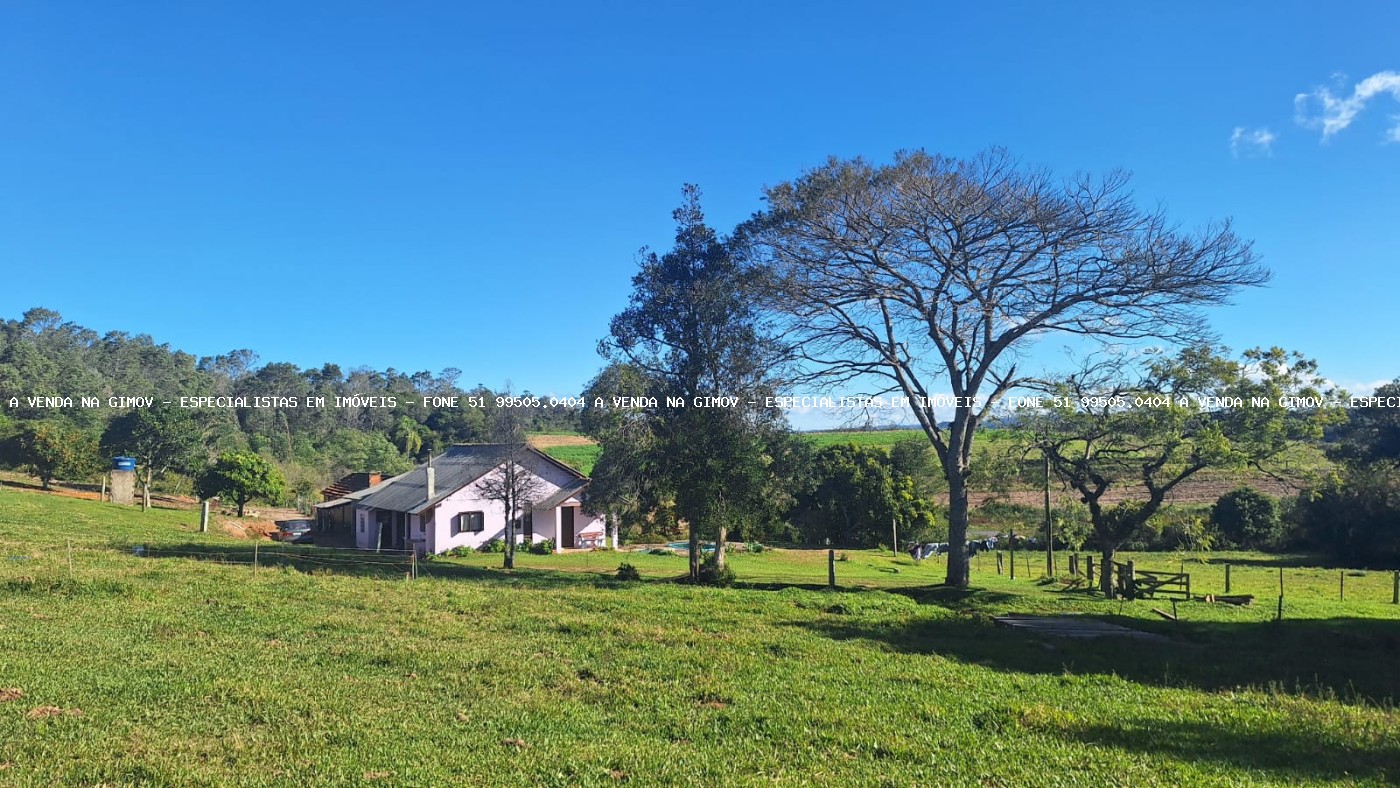 Sítio à venda com 4 quartos, 46500m² - Foto 7