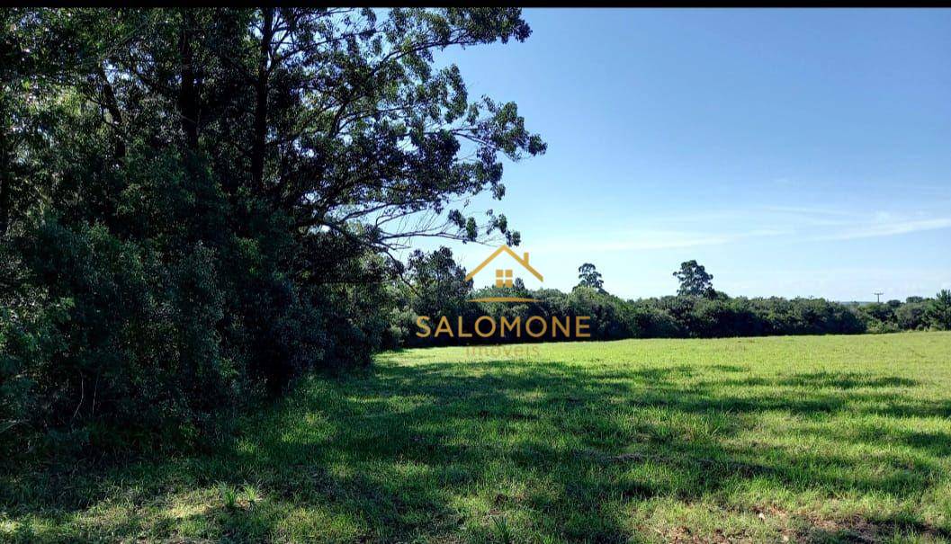 Sítio, 4 hectares - Foto 2