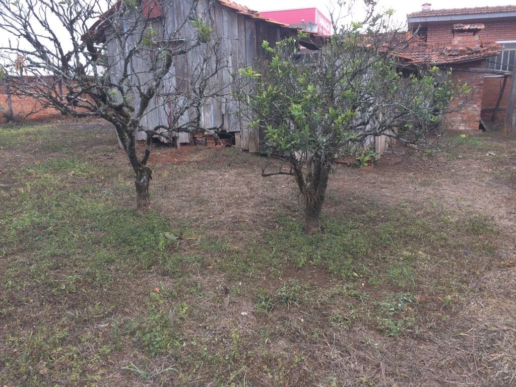 Terreno à venda, 800m² - Foto 18