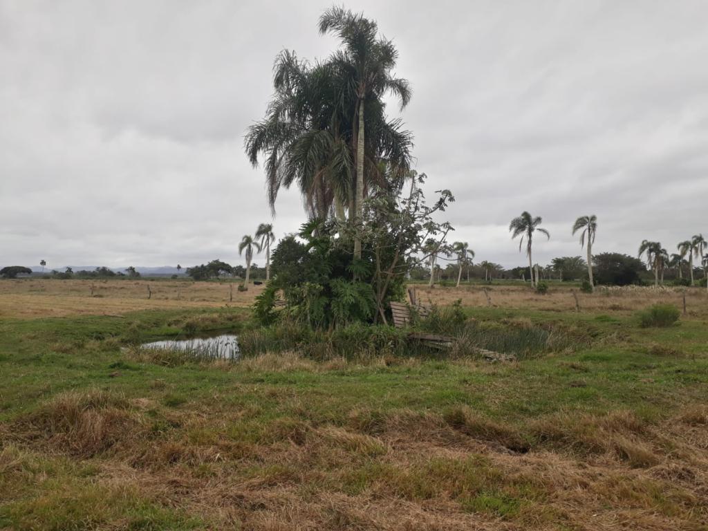 Fazenda à venda com 1 quarto, 45m² - Foto 15