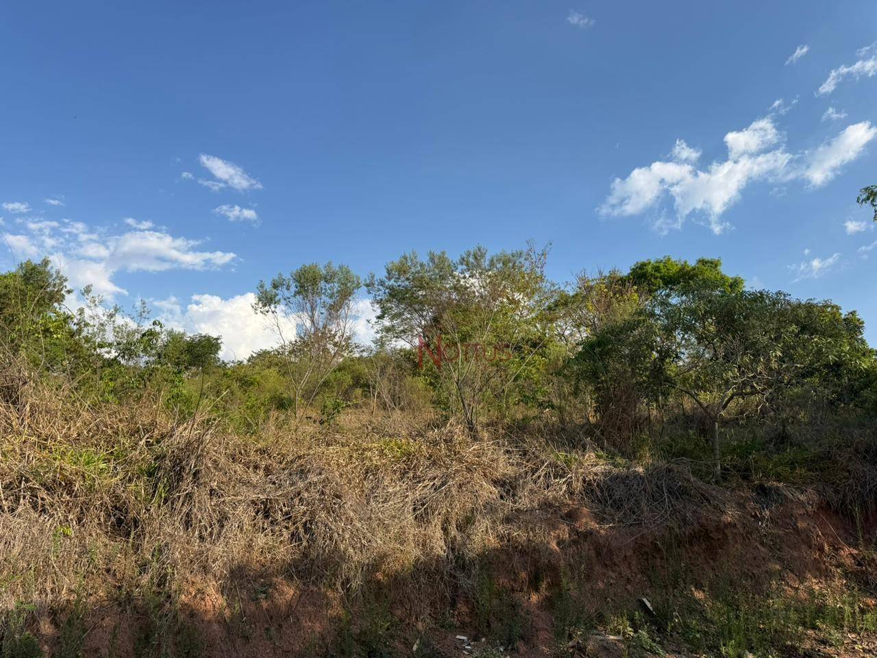 Terreno, 2500 m² - Foto 4