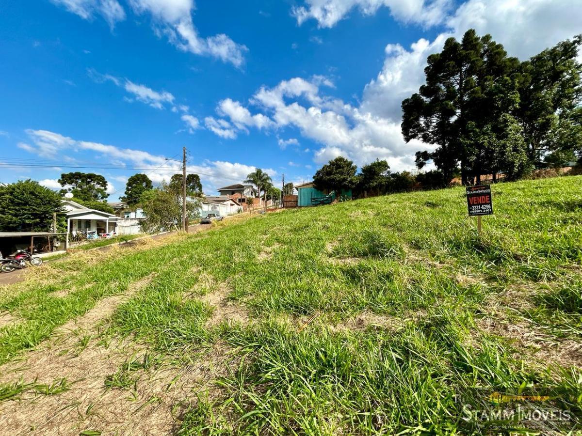 Terreno à venda, 2537m² - Foto 3