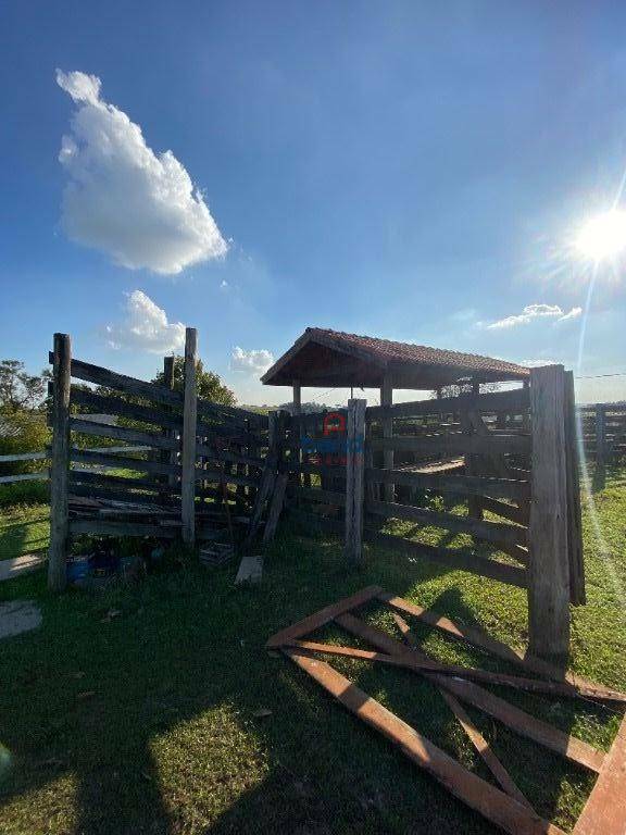 Haras e Área Rural Padrão à venda com 5 quartos, 108900M2 - Foto 51