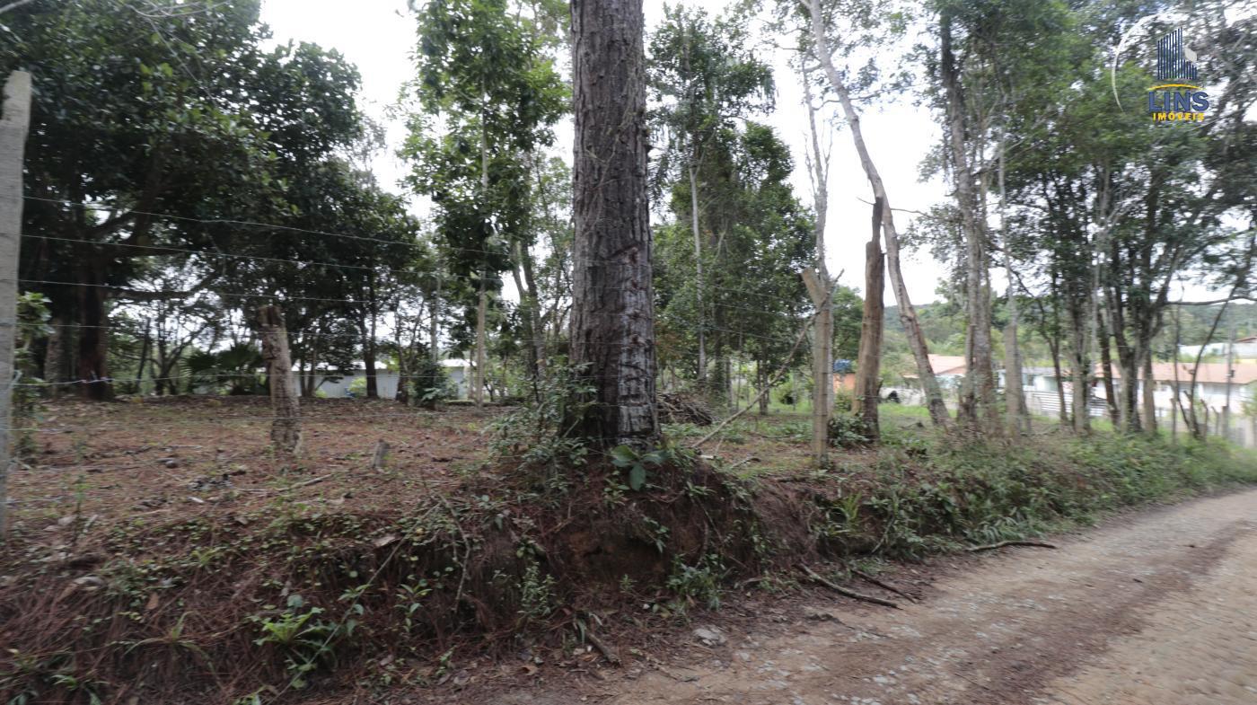 Fazenda à venda com 2 quartos, 50m² - Foto 14