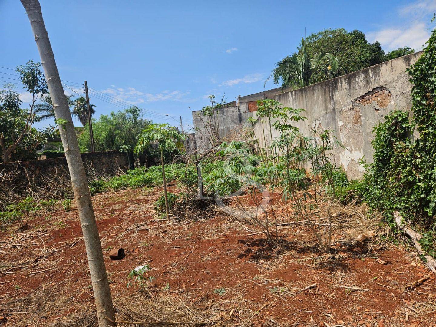 Terreno, 350 m² - Foto 8