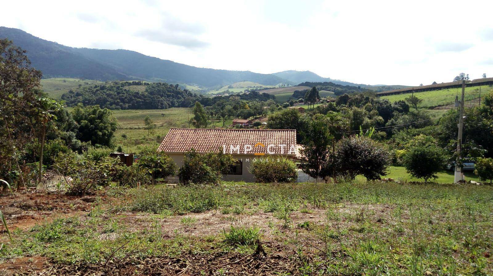 Chácara à venda com 4 quartos, 5000M2 - Foto 5