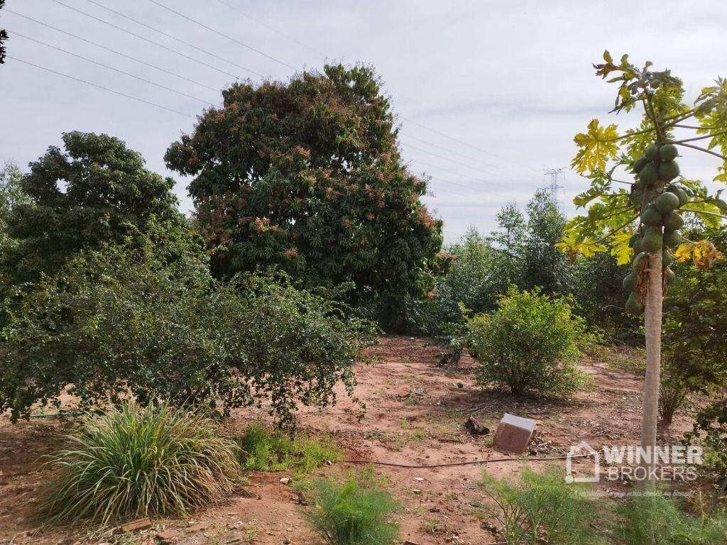 Chácara à venda com 4 quartos, 210m² - Foto 31