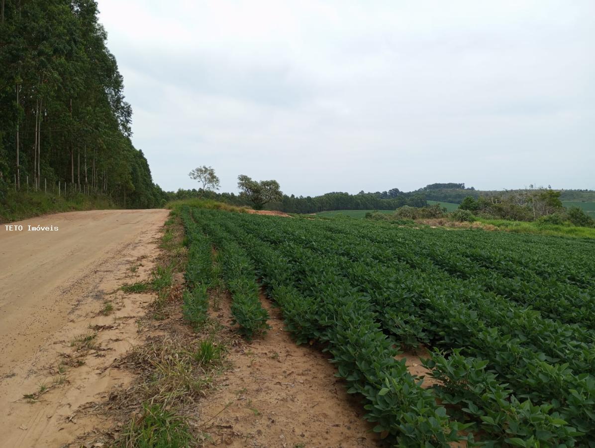 Fazenda à venda, 294m² - Foto 14