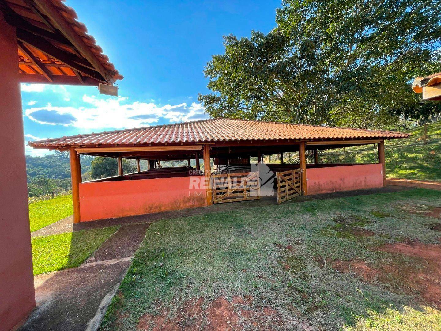 Sítio à venda com 4 quartos, 1000m² - Foto 8