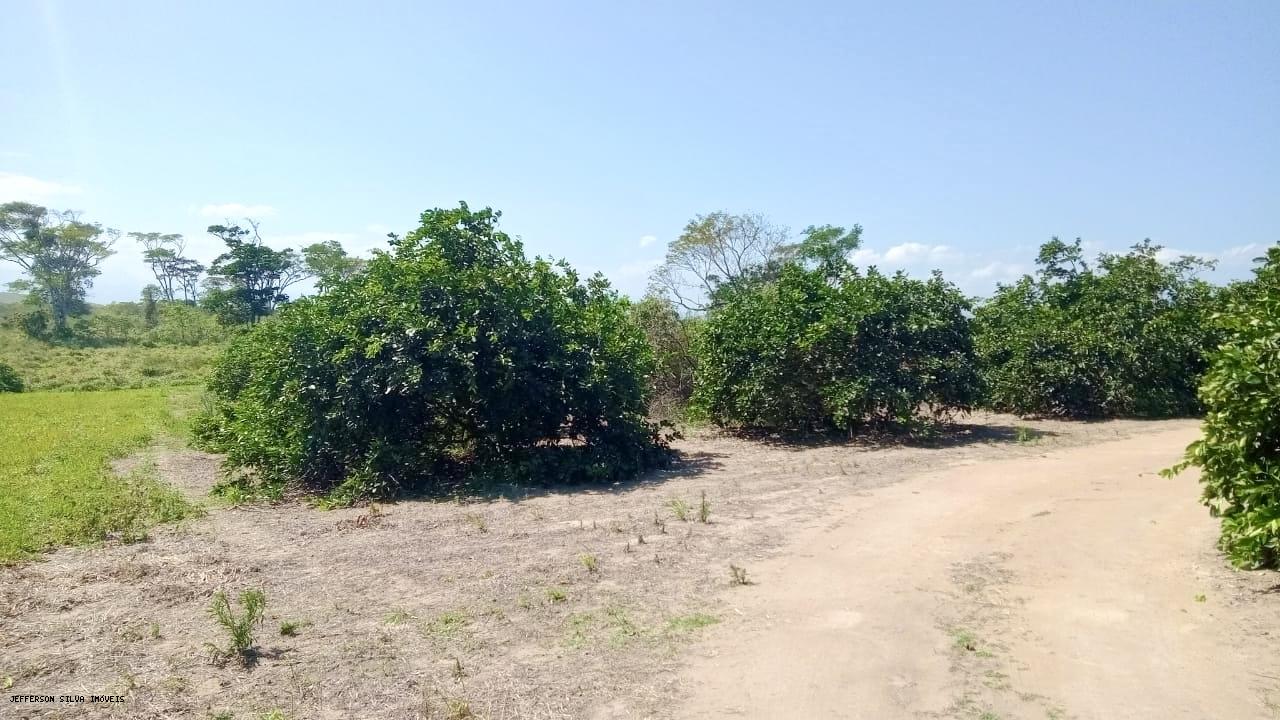 Fazenda à venda, 500000m² - Foto 12