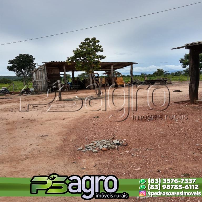Fazenda-Sítio-Chácara, 11 hectares - Foto 2