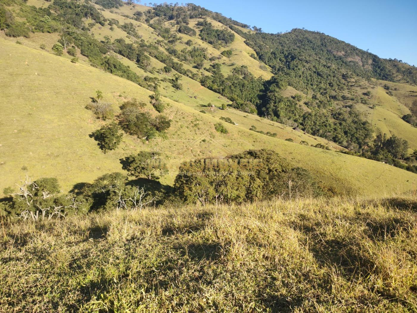 Terreno à venda, 20000m² - Foto 4