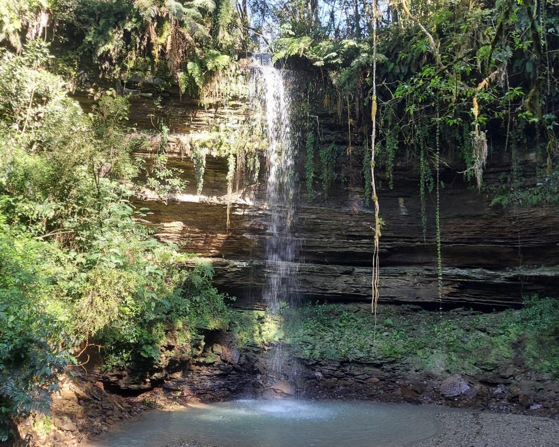 Fazenda-Sítio-Chácara, 13 hectares - Foto 1